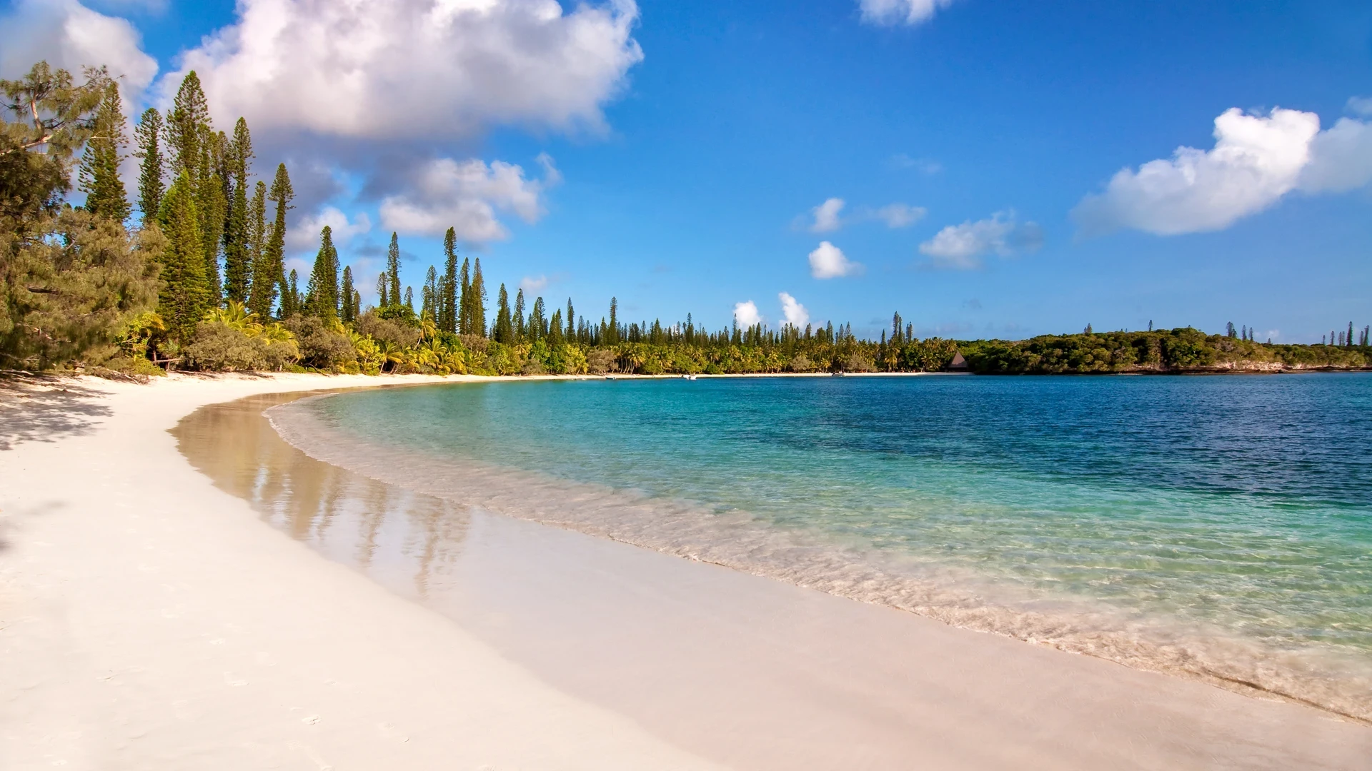 White-sand beach lined with palms and turquoise water